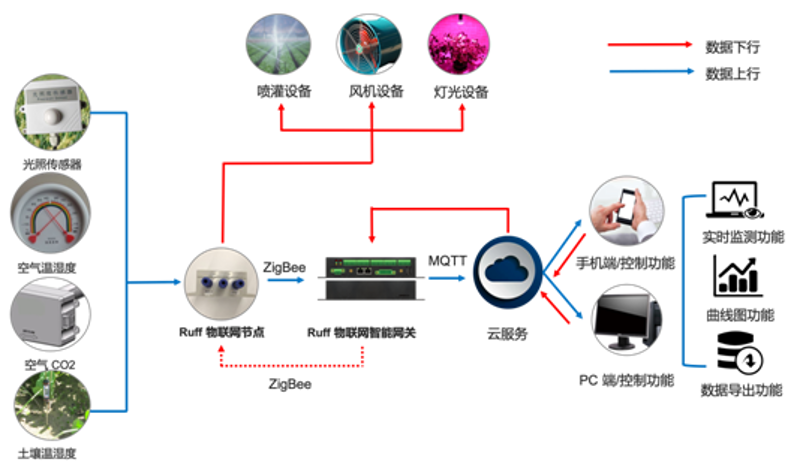 如何让中医适宜技术在农村地区焕发新活力?