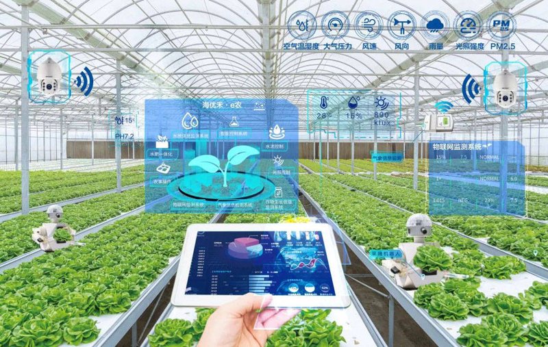 未来农业中的中医适宜技术:从传统到现代的跨越